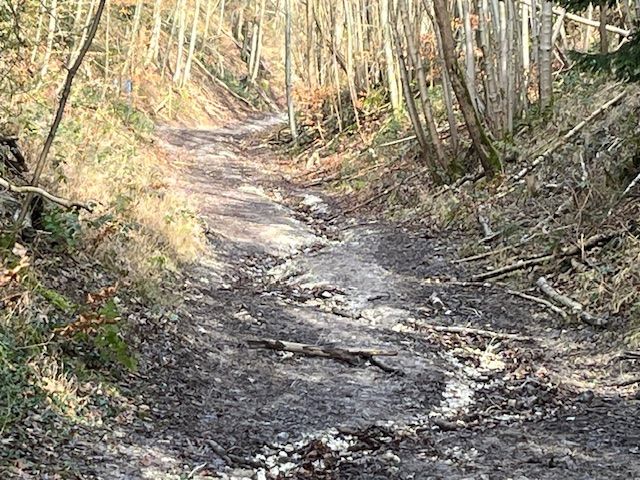 The steep walk up Pitchfont Lane to Botley Hill